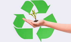 ecologico