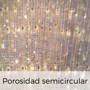 porosidad semicircular
