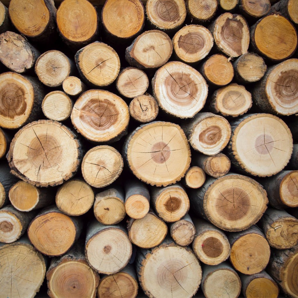 testa de la madera
