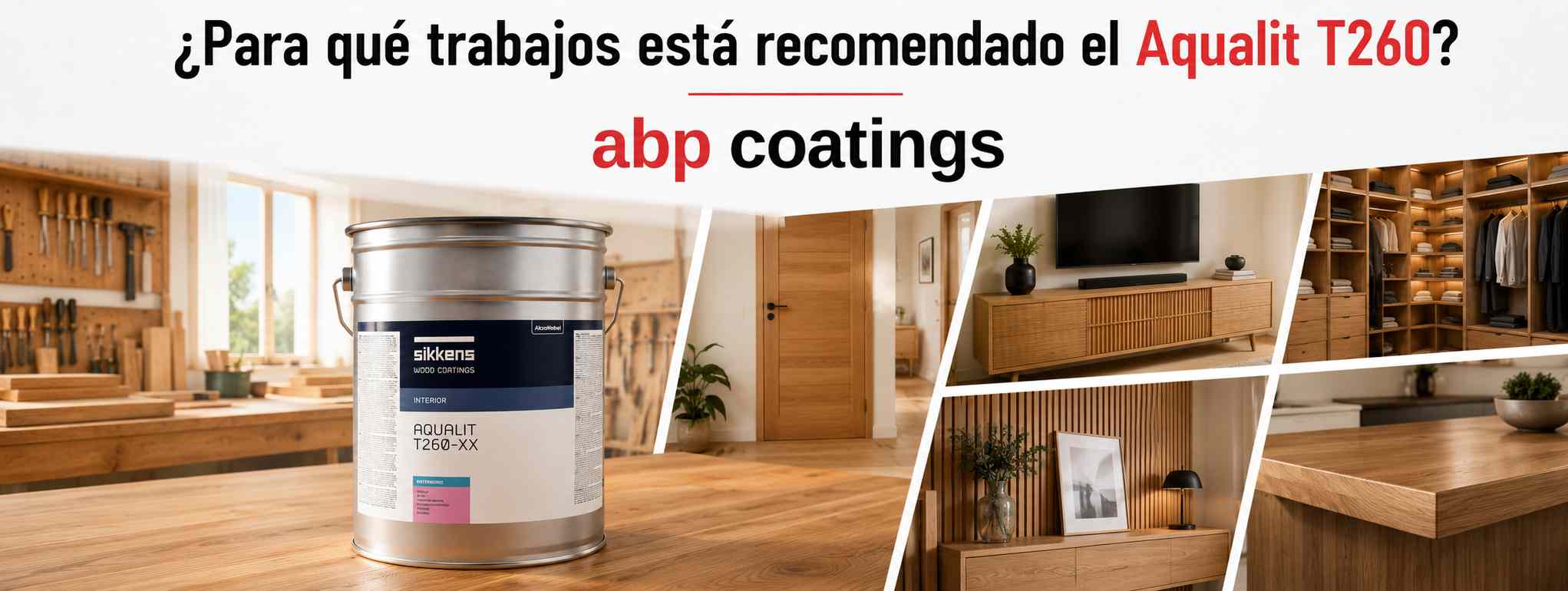 Para-que-trabajos-esta-recomendado-el-Aqualit-T260